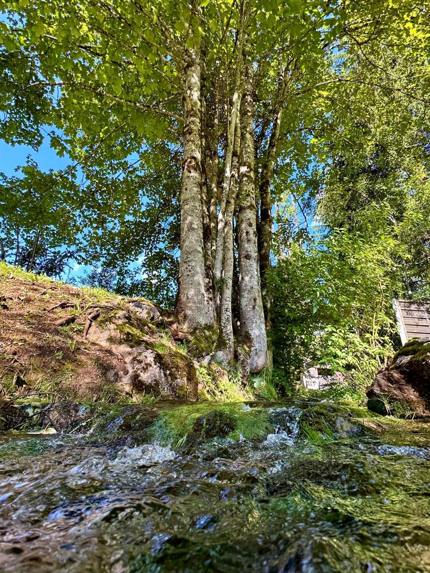 Haus Bergwelten Ramsau - Hintermuehle *