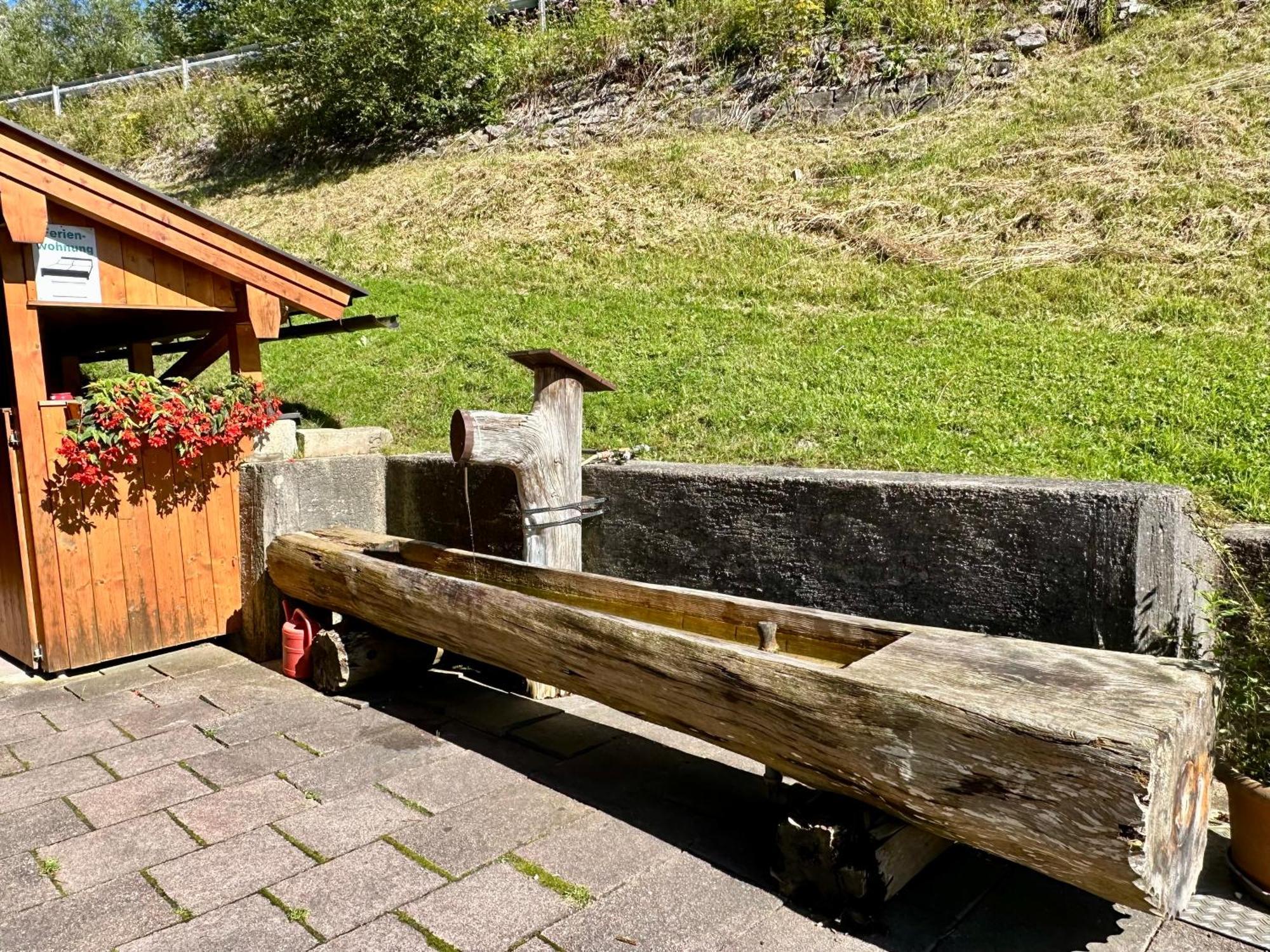 Haus Bergwelten Ramsau - Hintermuehle Appartamento *