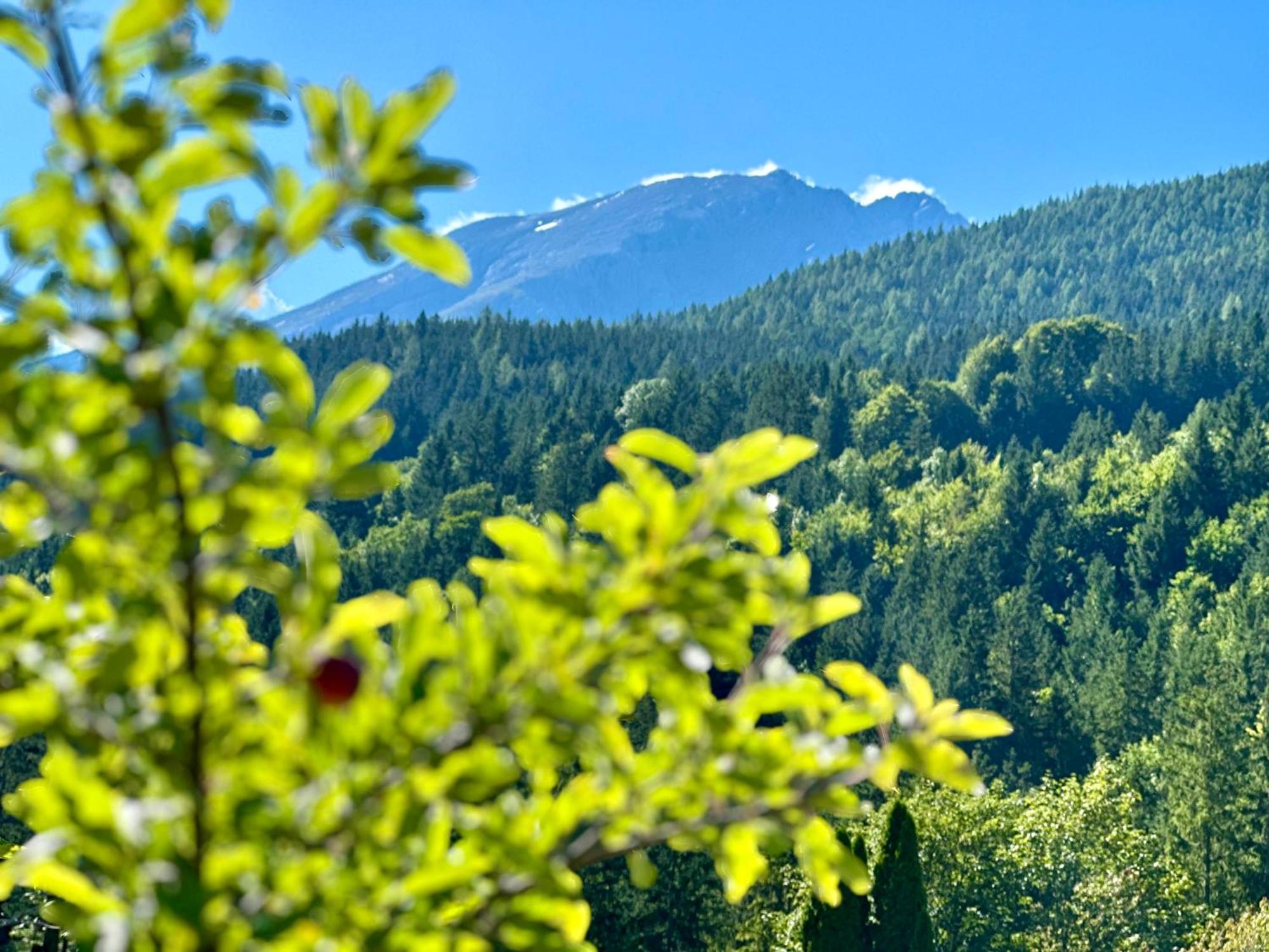 Appartamento Haus Bergwelten Ramsau - Hintermuehle *
